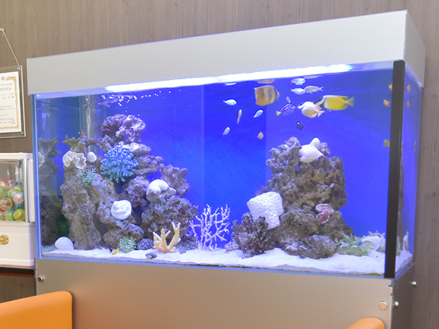 クリスタルミツル歯科 入れ歯 カウンセリング