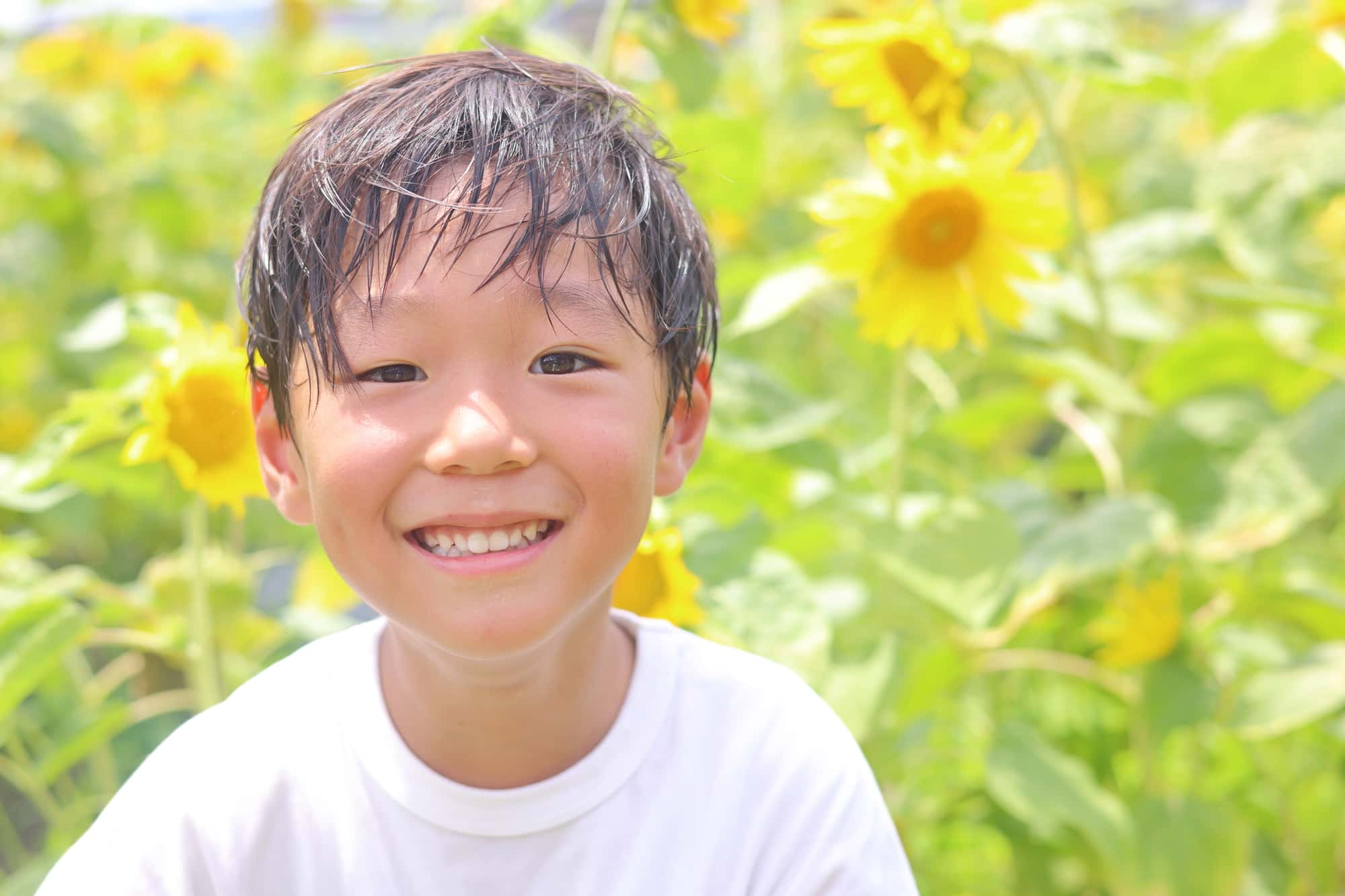 虫歯を予防して健康な歯で笑う男の子