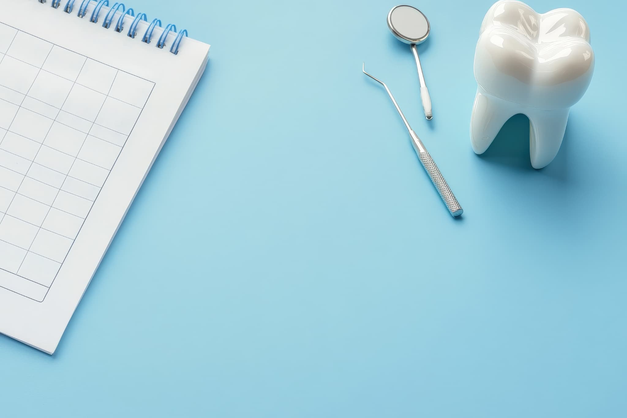 フッ素塗布の頻度のイメージ