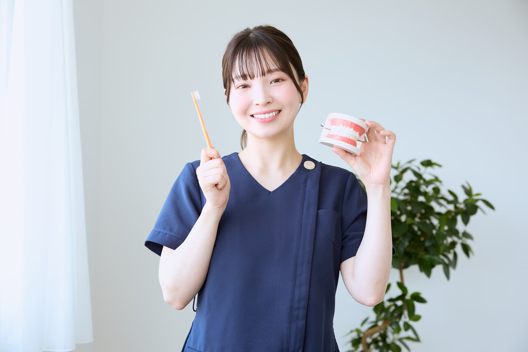 歯の模型と歯ブラシを持ってほほ笑む歯科衛生士の女性