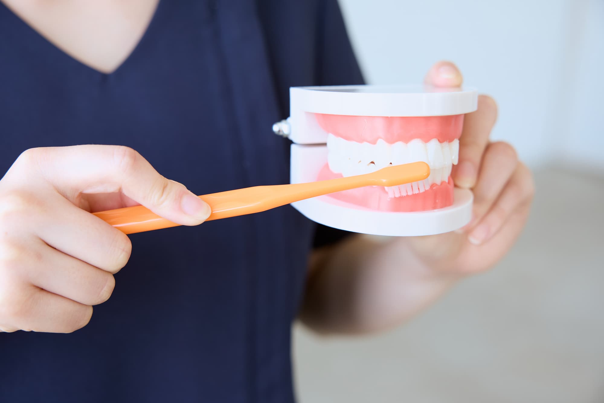 ブラッシング指導をする歯科医師の手元